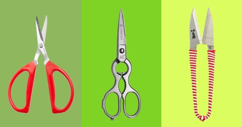The Very Best Kitchen Shears
