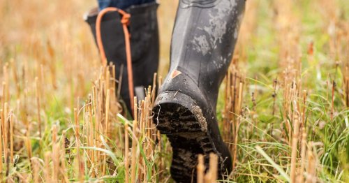 The Best Men’s Rain Boots on Amazon, According to Hyperenthusiastic Reviewers
