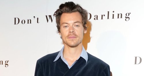 Don’t Worry Darling Struggled to Make Harry Styles’s Hair Look Bad