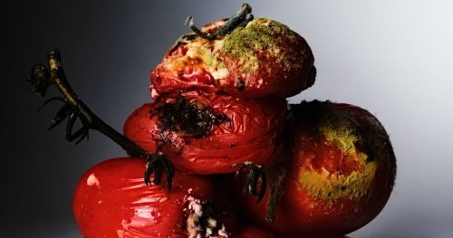 The Decomposition of Rotten Tomatoes