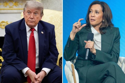 Kamala Harris must oppose, not appease, extremists in her party