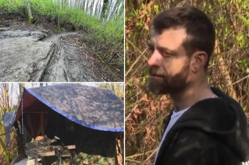Seattle removes homeless man Steven Irwin’s ‘ticking time bomb’ cabin, gold mine in public park