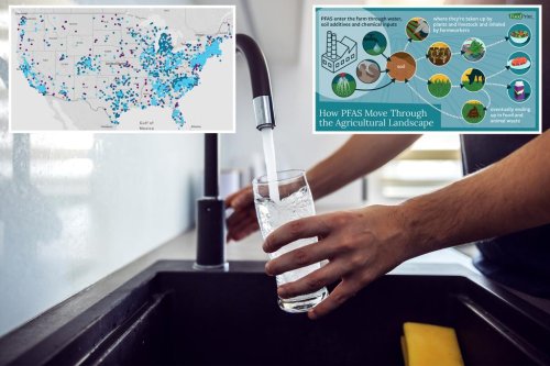 More than 70M Americans have water contaminated with ‘forever chemicals’: study