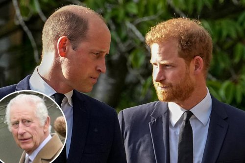 Prince William is blocking Harry’s potential return to royal fold ‘to protect’ Kate Middleton: expert