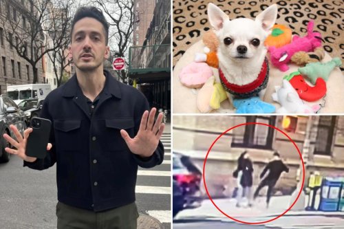 Google worker seen kicking woman’s tiny NYC rescue dog in viral video hit with charges: sources