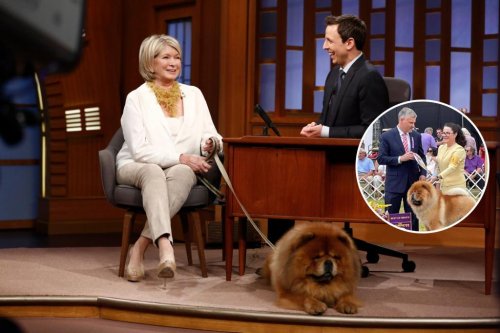 Martha Stewart ‘proud’ as chow chow related to her late pooch wins Westminster Dog Show