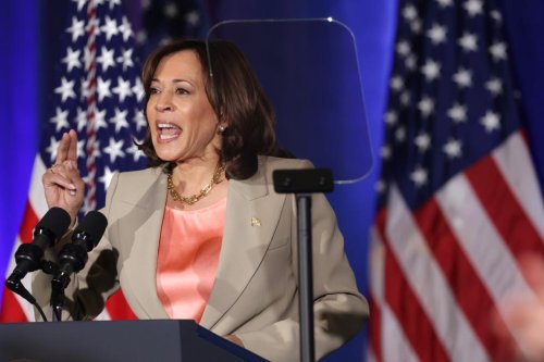 Kamala Harris Is A Biden Fall Away From Being In The Oval Office ...