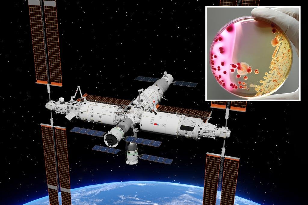 Mysterious bacteria with ‘unique abilities’ discovered on Chinese space station