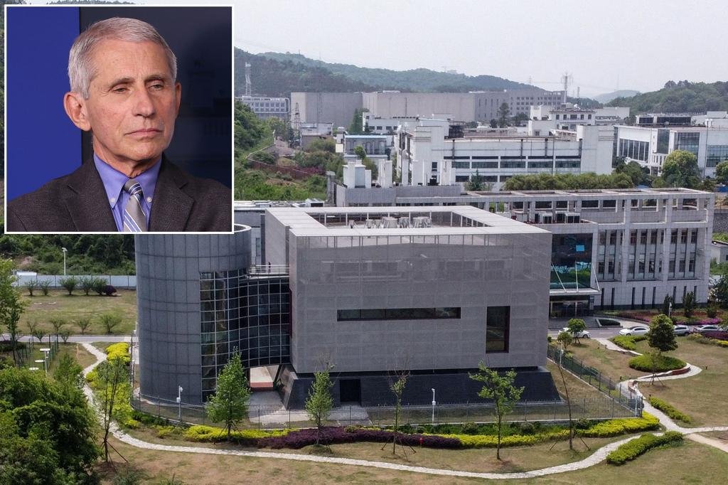 Fauci defends China, claims it’s ‘far out’ COVID was created in a lab