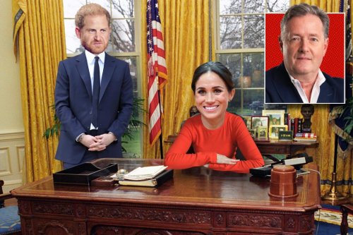 Ban private jets that aren’t carrying my celeb pals, drown GOPers in acid and ban royal visas: How Meghan Markle’s political playbook might look