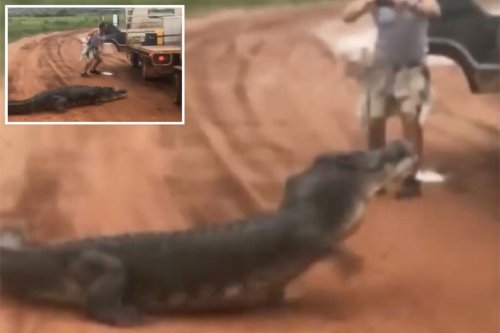 Crazy moment worker almost eaten by crocodile in Australia