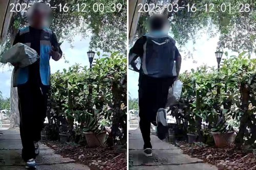 Surprising video shows Amazon driver steal package — that he delivered 30 seconds earlier