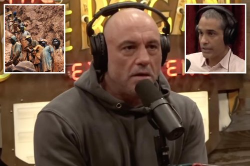 joe-rogan-podcast-guest-explains-heart-wrenching-source-of-electric