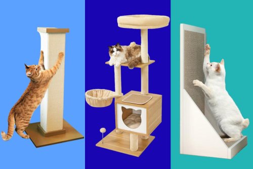 these-cat-scratching-posts-are-the-cat-s-meow-for-kitties-in-2023