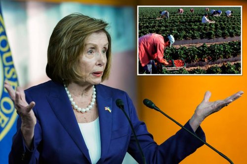 Pelosi’s ‘pick crops’ line shows how Democrats betrayed the working class