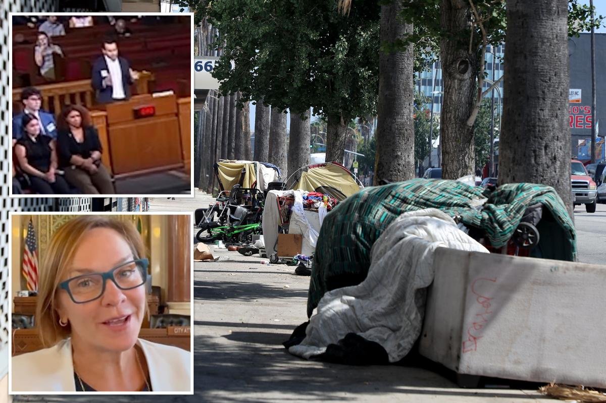 Wild proposal in city council meeting aimed at creating public ‘sex huts’ for LA homeless