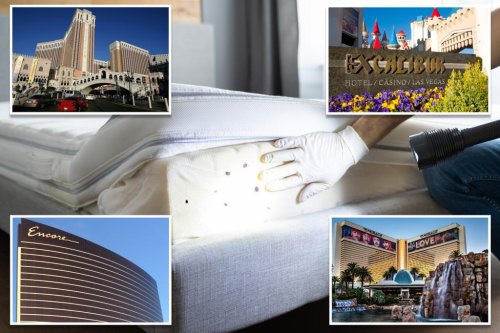 Bed bugs found at four different Las Vegas Strip hotels in four months