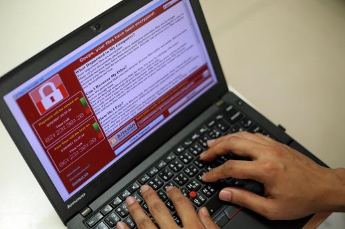Computer whiz curbed global cyberattack with $11 purchase