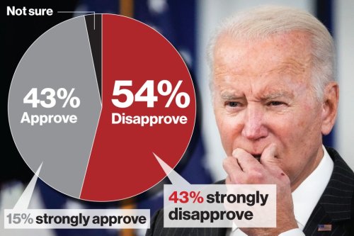 Polls show Americans think Biden is doing a bad job at … just about everything