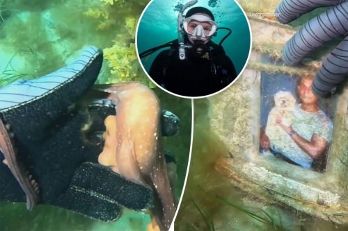 Aussie diver’s magical interaction with enormous octopus that led her to a secret underwater shrine