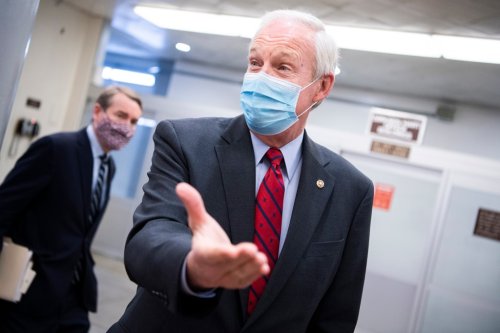 GOP senator: Congress should have known about Hunter Biden probes amid impeachment