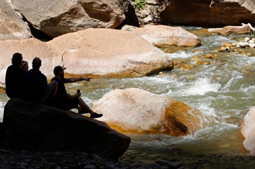 Utah warns about Zion National Park river after dog dies swimming in algal bloom