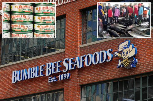US tuna giant Bumble Bee Foods accused of profiting from ‘modern-day slavery,’ human trafficking and forced labor: suit