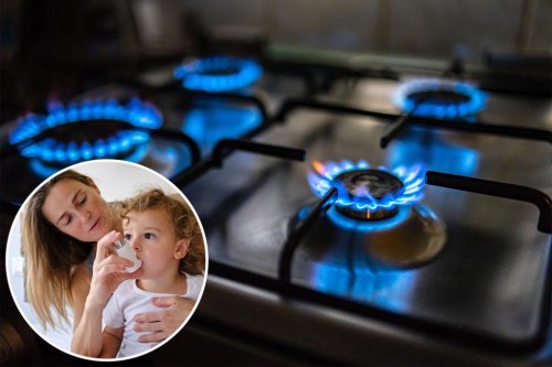 Gas stoves linked to asthma in children, adult cancers, scientist warns