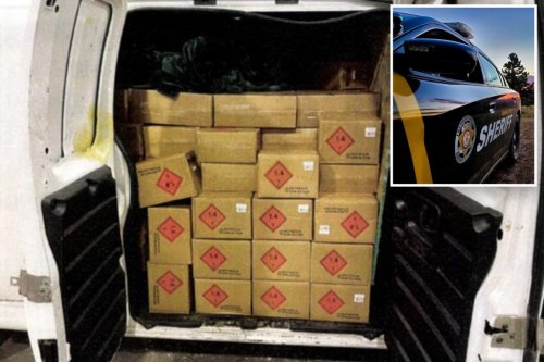 Stunned cops allegedly find 180K rounds of ammo packed in minivan driven by two Mexican nationals