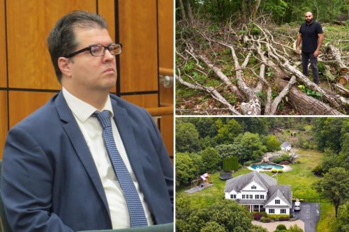 NJ man who chopped down neighbor’s trees fined $13,000 — and faces $1 million bill