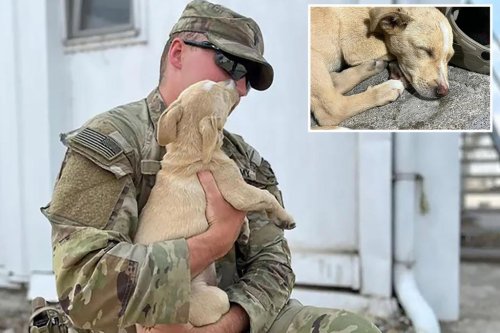 Army soldier on mission to rescue scared puppy that snuck onto overseas base