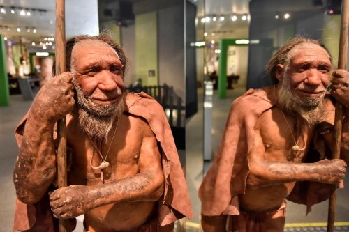 Neanderthal genome sequenced, shedding new light on our prehistoric cousins