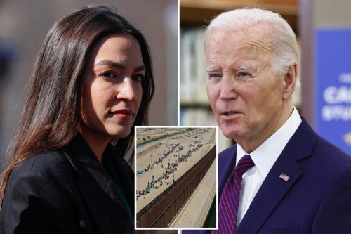 ‘Squad’ member AOC leads bipartisan charge against Biden’s executive order to stop border crossings: ‘Doing Trump impressions’