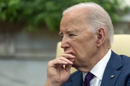 Biden’s only strategy is to ‘give away more stuff’: veteran political strategist