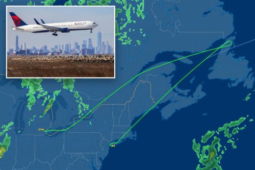 Delta flight forced to make emergency landing at JFK over ‘contaminated food’