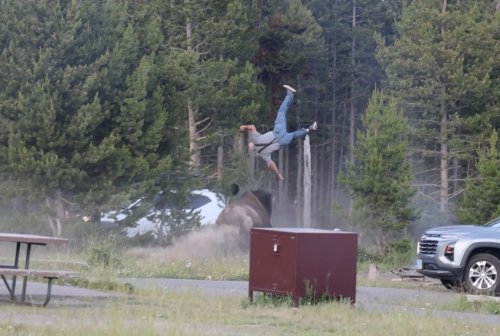 Grandfather ID'd as Yellowstone visitor flung into the air by bison