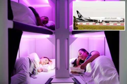 Airline debuts next-level bunk bed ‘pods’ for economy fliers