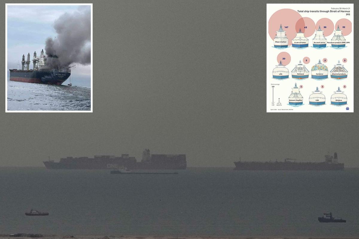 Tanker ships must pay Iran’s Revolutionary Guards a toll in Chinese yaun or crypto before they can pass Strait of Hormuz: report