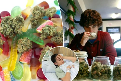 The ‘quite scary’ reality ER docs are seeing as teen cannabis edible use rose by 43% amid legalization