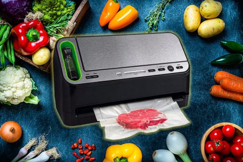 Keep food fresh with the 7 best vacuum sealers of 2023, per a chef