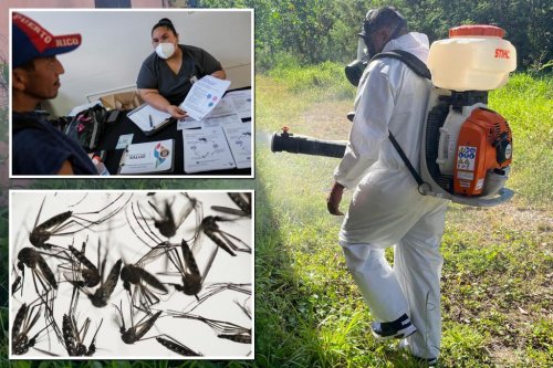 Puerto Rico issues public health emergency after spike in potentially fatal mosquito-borne infections