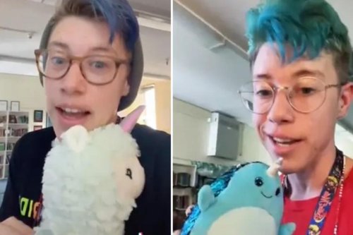 School teacher posts about using stuffed animals to teach kids lesson on being ‘gender-fluid’