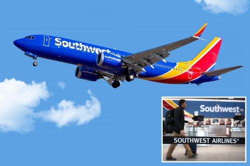 Southwest Airlines passenger allegedly stripped naked, pooped on seat as plane landed: report