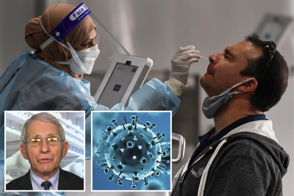 Fauci explains what is ‘troublesome’ about the Omicron variant