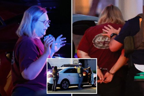 Orange County football mom who stole $411,000 from high school team busted in FBI raid