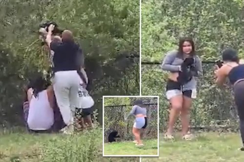 Group snatches bear cubs out of tree just to take selfies with them in disturbing clip