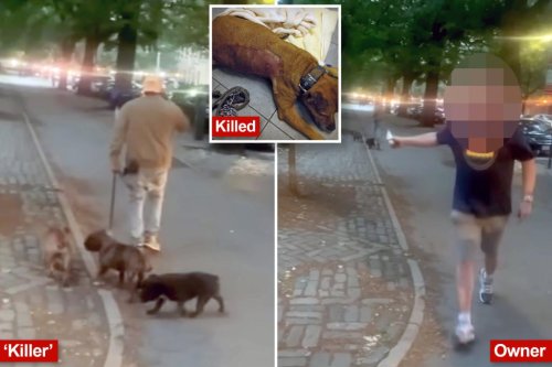 video-shows-central-park-dog-killer-casually-walking-away-after-vicious