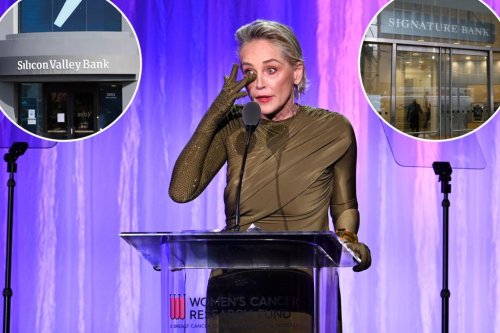 ‘I just lost half my money to this banking thing,’ tearful Sharon Stone says