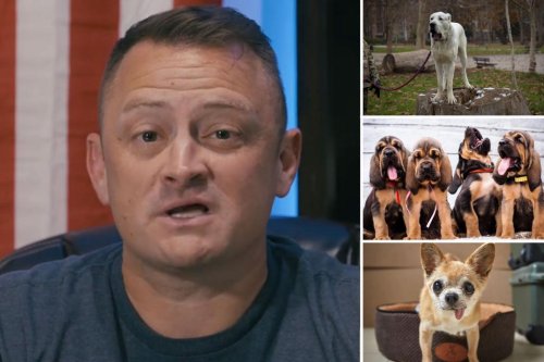 I’m a dog trainer — here are the 3 breeds I would never own
