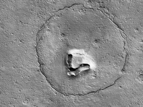 Paddington Bear on Mars? NASA images from the red planet capture the internet’s imagination